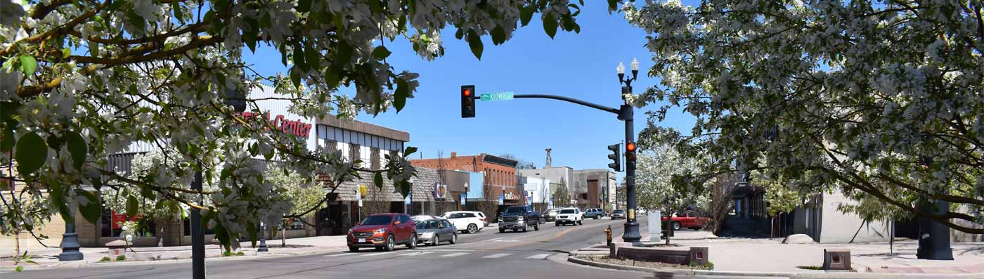 Banner for Start a Business